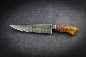 Beautiful luxurious utility knife in Texas Wind damask pattern with noble wood handle on dark