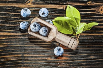Juicy huckleberries in wooden spoon