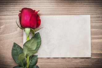 Blank sheet of paper and red rosebud on wooden board
