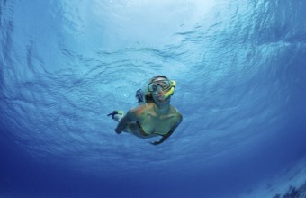 Snorkelling, Netherlands Antilles, Bonaire, Caribbean, Caribbean Sea