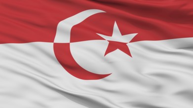 Islamic State Of Indonesia Flag, Closeup View