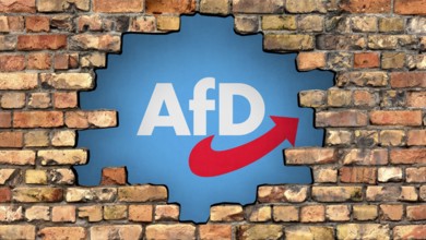 System picture on the fragile firewall between the CDU and AfD