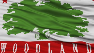 Closeup of Woodland City Flag, Waving in the Wind, California State, United States of America
