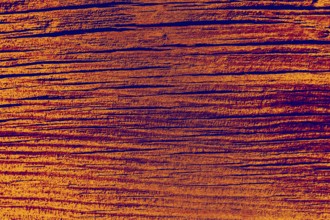 Wood texture with natural patterns as a background