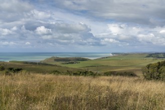 Landscape view of the rolling hills and meadows of the Jurassic Coast on the English Channel coast