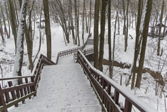 A wooden staircase through a ravine. Bitsa Park, Moscow, Russia, Europe