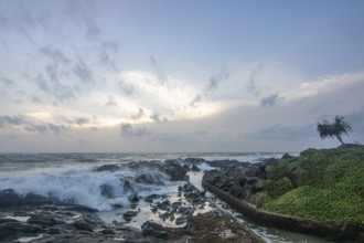 Beach, with lava rocks and vegetation, view of the sea in the evening at sunset. Landscape with