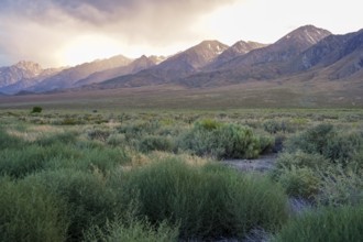 Mountain range with clouded colorful sunset, Eastern Sierra Nevada Mountains, Mono County,