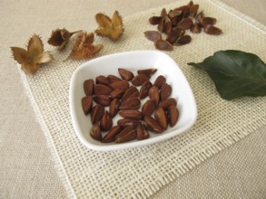 Peeled beechnuts in a small bowl