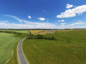 Aerial view of flowering meadows and fields