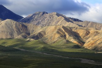 Denali National Park in Alaska