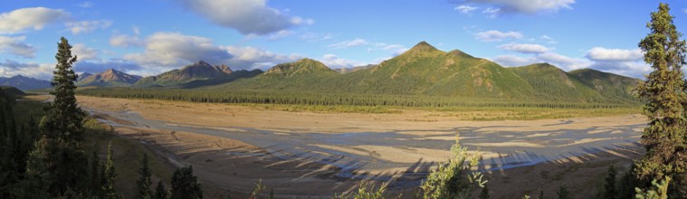 Panorama of Denali National Park in Alaska