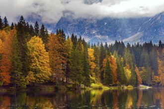 Magnificent colors of autumn. Orange and yellow trees are reflected in the green smooth water. The