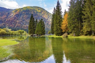 The autumn forests are reflected in the icy water of the lake. Picturesque lake Fusine of glacial
