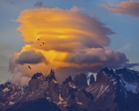 Sunset in the national park Torres del Paine, Chile. Sharp curved peaks Los Quernos. Under the