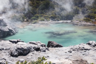 An image of a volcanic lake at waimangu new zealand