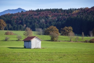 An image of a autumn scenery at Murnau Bavaria Germany