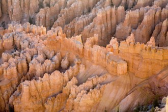 Hoodoos, pillar of rocks made by erosion at Bryce Canyon national park, U.S.A. United States of