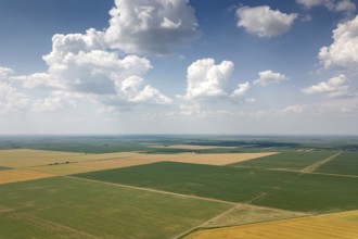 Aerial view of agricultural fields. Countryside, Agricultural Landscape Aerial view