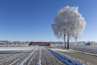 Red train travelling through a snow-covered field past an icy tree, hoarfrost in Unterallgäu,