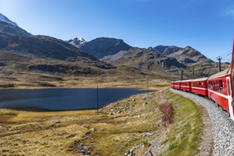 Red train of Bernina in the Swiss alps