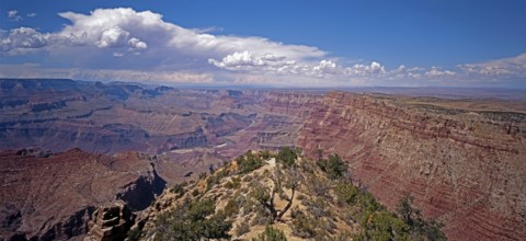 Grand Canyon National Park, Arizona, USA, North America