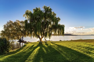 Magnificent sunset. Warm evening on the lake. New Zealand. The largest Lake Taupo. The magnificent