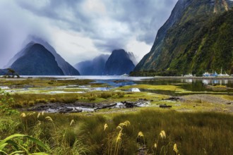 Overgrown with marsh grass coast of the fjord. Sunlight breaks through storm clouds. New Zealand -