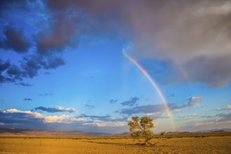 The concept of ecotourism. The magnificent rainbow crosses the sky over desert in Namibia. Dirt