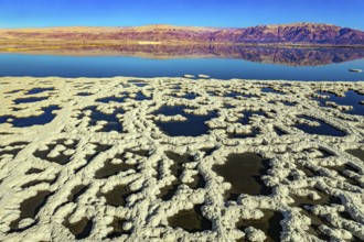 Dead Sea. The blue water is surrounded by pink mountains. Sunny winter day. The picture was taken