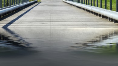 Bridge over a river - Elbtalaue National Park on the Elbe