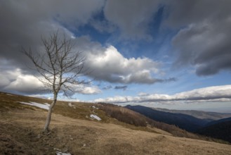 Summits of the Vosges landscape in Winters. France