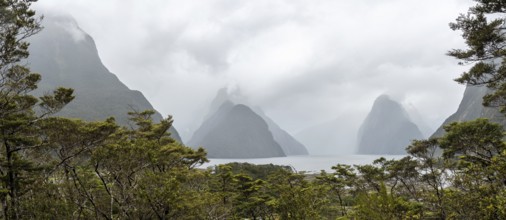 Magnificent panoramic view of Milford Sound during rainy weather, South Island of New Zealand