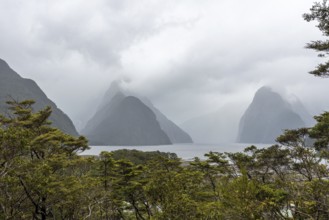 Magnificent panoramic view of Milford Sound during rainy weather, South Island of New Zealand