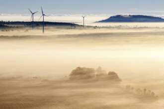 Morning fog over a rural landscape with wind turbines
