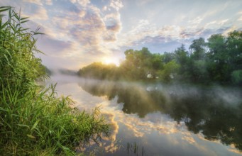 Foggy morning on river in the forest
