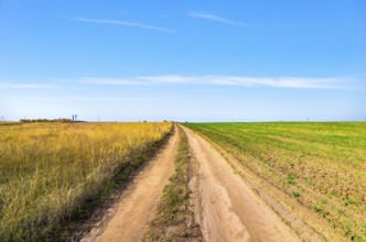 Country road through field at sunny autumn day