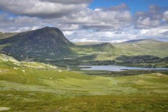 Fascinating natural landscape in Jotunheimen in the summertime in Norway. Great natural landscape