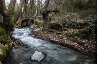Beautiful medieval stoned bridge or Milia with river full with water flowing at Troodos mountains