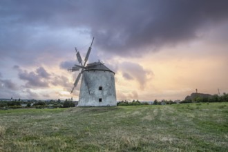 Windmill with wooden sails in a landscape with fields. Meadows and flowers appear in the sunset.