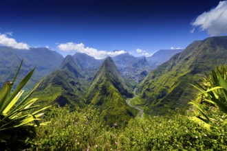 Cirque de Mafate, Dos d'Ane at Reunion Island