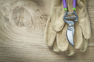 Leather protective gloves pruning shears on wooden board agriculture concept