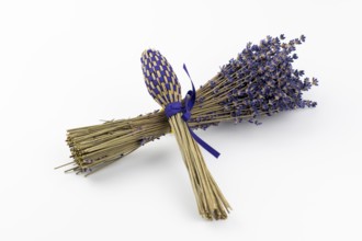 Dried lavender (Lavandula) flowers and handmade lavender wand isolated on white background