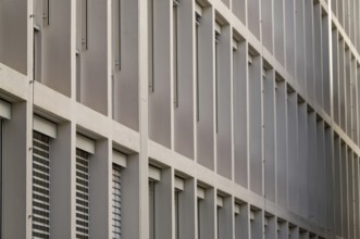 Long rows of windows of an office building from the 1960s