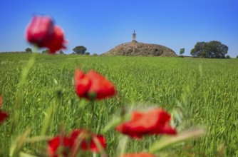 Castile La Mancha Cubillo ruins Camino de Santiago saint James Way of Levante