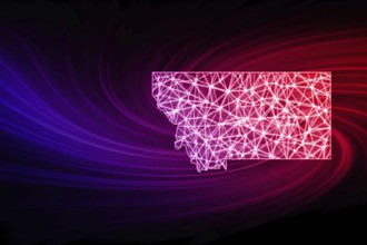 Map of Montana, Polygonal mesh line map, modern map
