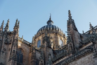 View of the roofs and dome of the Old Cathedral of Salamanca a blue sky day. Castilla y Leon,