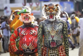 Trained dancers with their carefully painted bodies guise of tigers perform the famous Pulikali