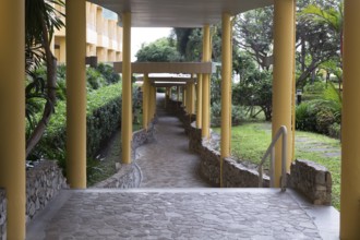 Corridor with columns in the rainforest