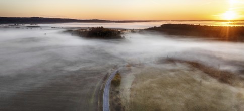 Harz landscape in the fog autumn mood